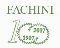 FACHINI GEARS S.p.A.